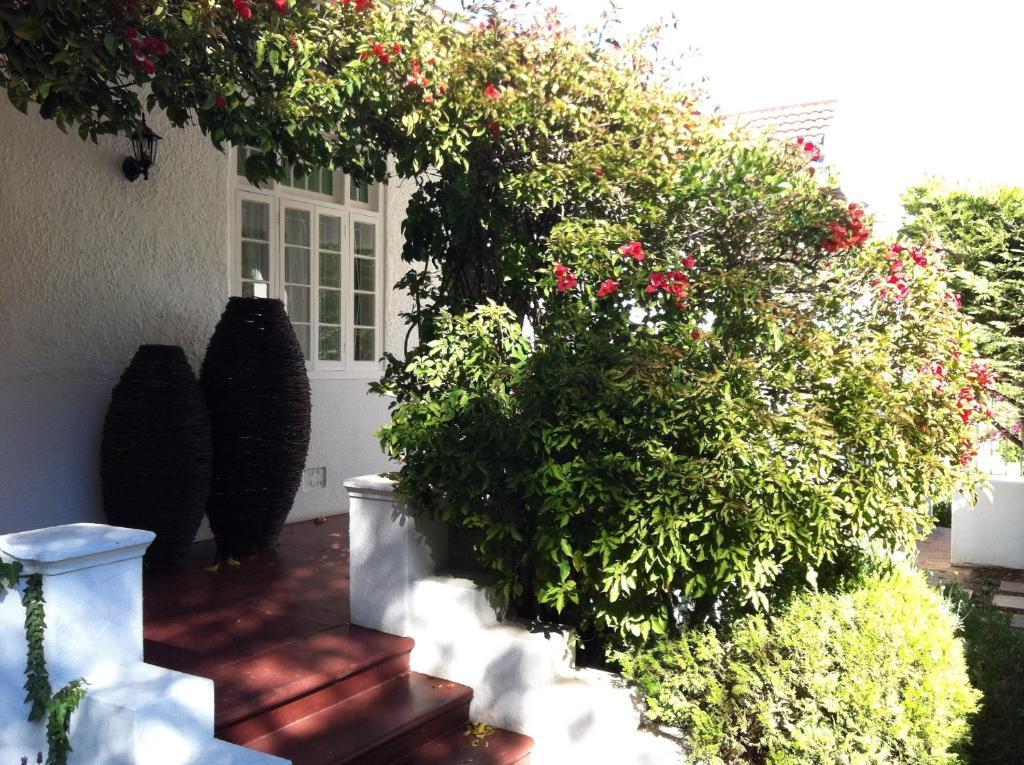 5 Camp Street & Self-catering